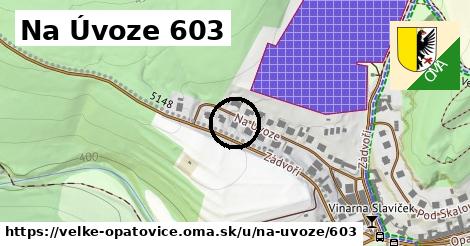 Na Úvoze 603, Velké Opatovice