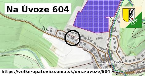 Na Úvoze 604, Velké Opatovice