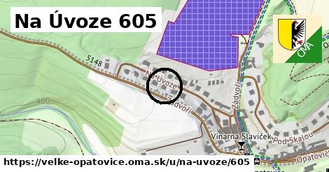 Na Úvoze 605, Velké Opatovice