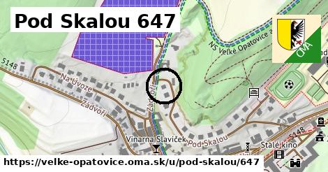 Pod Skalou 647, Velké Opatovice