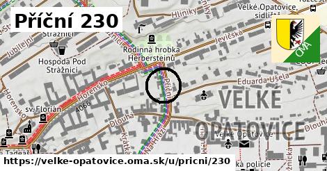 Příční 230, Velké Opatovice