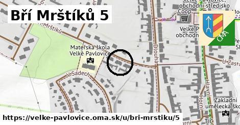 Bří Mrštíků 5, Velké Pavlovice