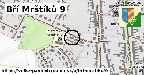 Bří Mrštíků 9, Velké Pavlovice