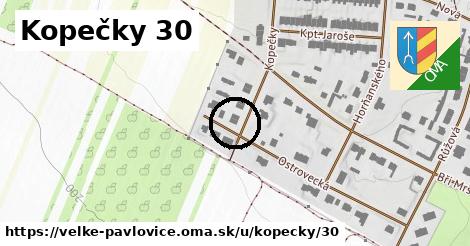 Kopečky 30, Velké Pavlovice