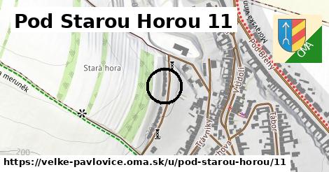 Pod Starou Horou 11, Velké Pavlovice