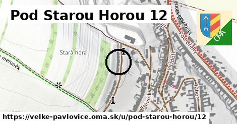 Pod Starou Horou 12, Velké Pavlovice