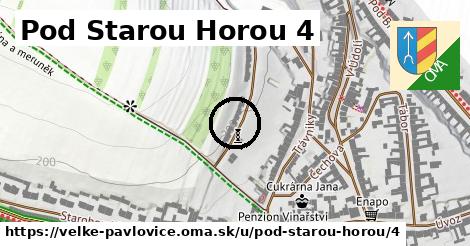 Pod Starou Horou 4, Velké Pavlovice