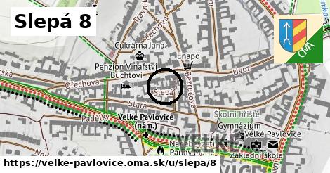 Slepá 8, Velké Pavlovice