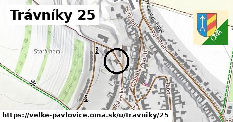 Trávníky 25, Velké Pavlovice