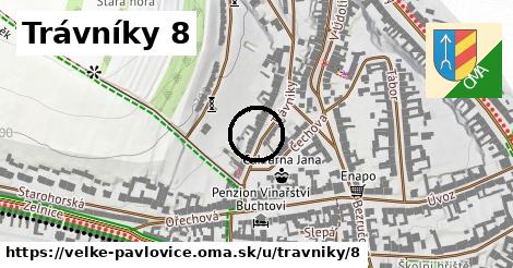 Trávníky 8, Velké Pavlovice