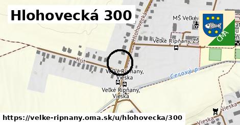 Hlohovecká 300, Veľké Ripňany