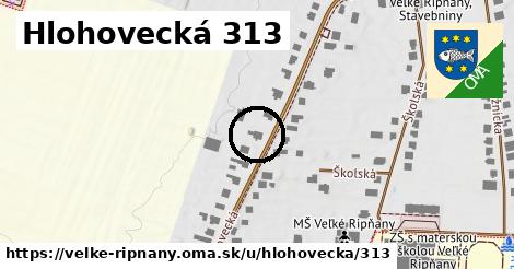 Hlohovecká 313, Veľké Ripňany