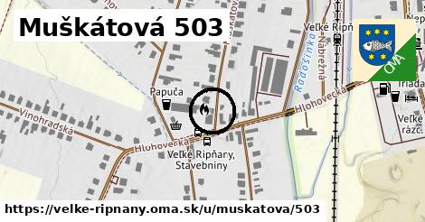 Muškátová 503, Veľké Ripňany