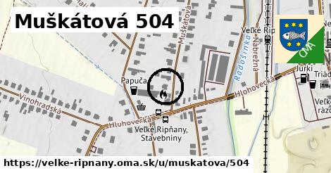 Muškátová 504, Veľké Ripňany