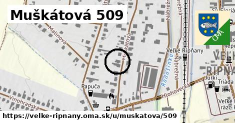 Muškátová 509, Veľké Ripňany