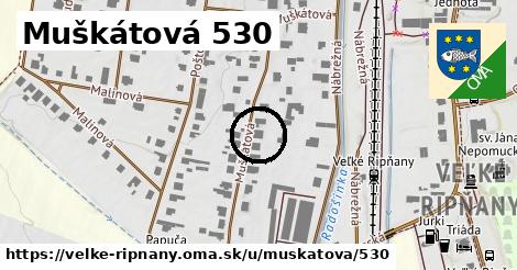 Muškátová 530, Veľké Ripňany