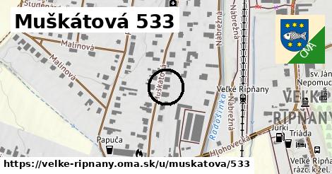 Muškátová 533, Veľké Ripňany