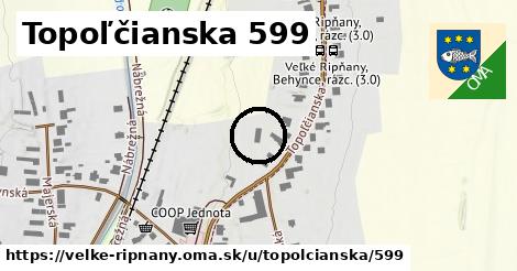 Topoľčianska 599, Veľké Ripňany