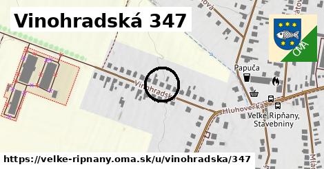 Vinohradská 347, Veľké Ripňany