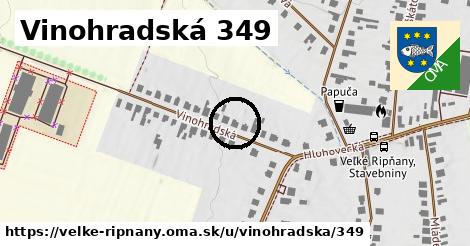 Vinohradská 349, Veľké Ripňany