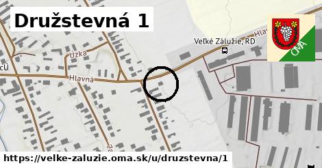 Družstevná 1, Veľké Zálužie