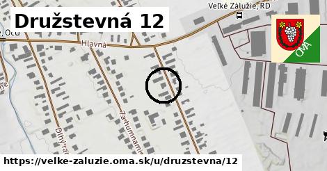 Družstevná 12, Veľké Zálužie