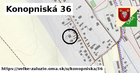 Konopniská 36, Veľké Zálužie