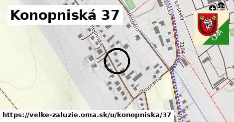 Konopniská 37, Veľké Zálužie