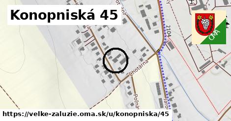 Konopniská 45, Veľké Zálužie