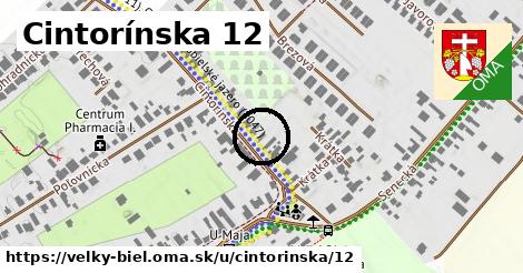 Cintorínska 12, Veľký Biel