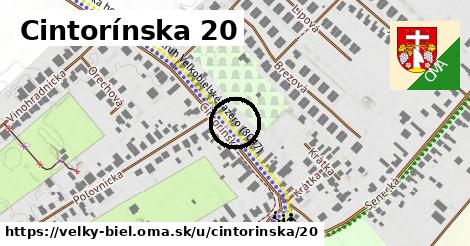 Cintorínska 20, Veľký Biel