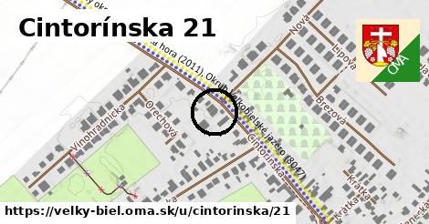 Cintorínska 21, Veľký Biel