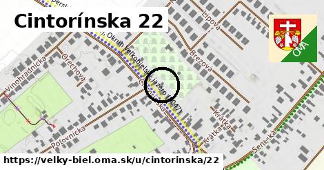 Cintorínska 22, Veľký Biel