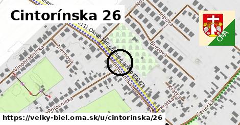 Cintorínska 26, Veľký Biel