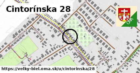 Cintorínska 28, Veľký Biel