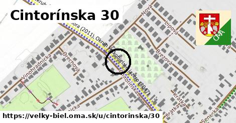 Cintorínska 30, Veľký Biel