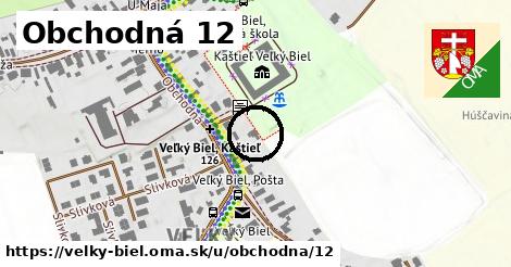 Obchodná 12, Veľký Biel