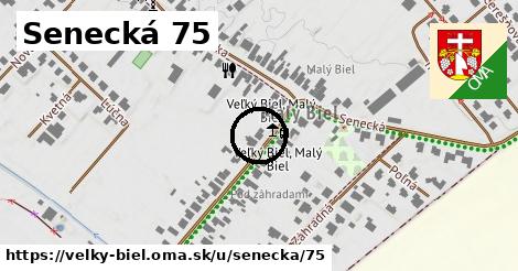 Senecká 75, Veľký Biel