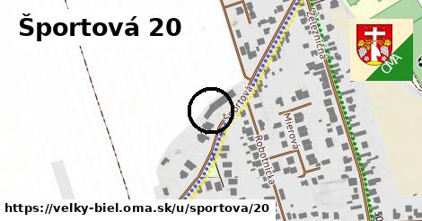 Športová 20, Veľký Biel