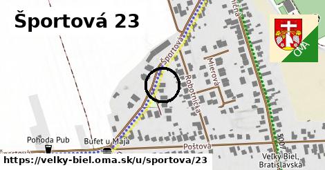 Športová 23, Veľký Biel