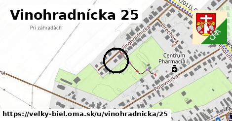 Vinohradnícka 25, Veľký Biel