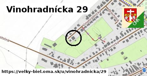 Vinohradnícka 29, Veľký Biel