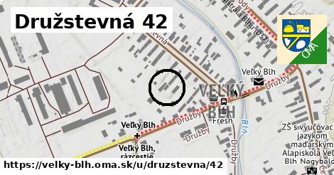 Družstevná 42, Veľký Blh