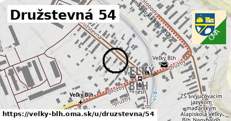Družstevná 54, Veľký Blh