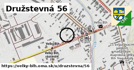 Družstevná 56, Veľký Blh