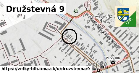 Družstevná 9, Veľký Blh
