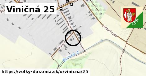 Viničná 25, Veľký Ďur