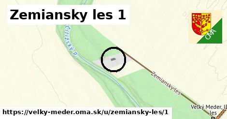 Zemiansky les 1, Veľký Meder