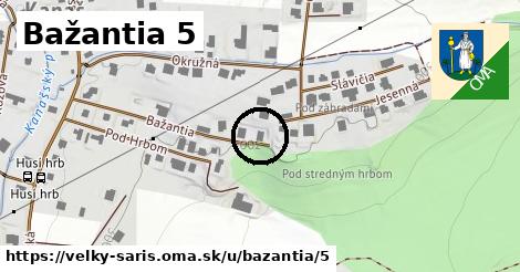 Bažantia 5, Veľký Šariš