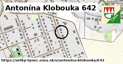 Antonína Klobouka 642, Velký Týnec